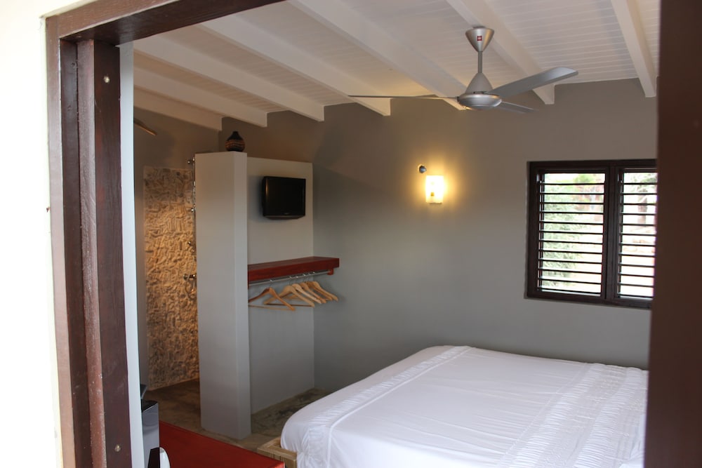 Basic Studio, 1 King Bed photo 1