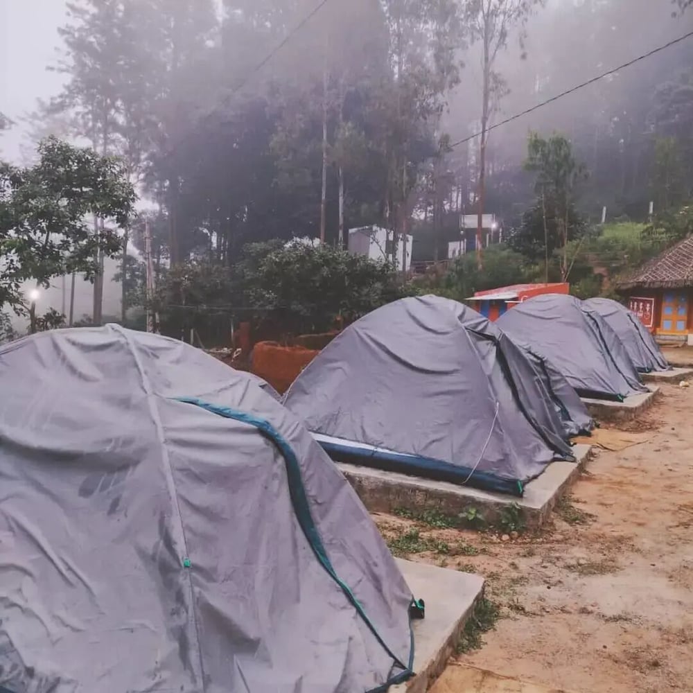 Basic Tent, Patio