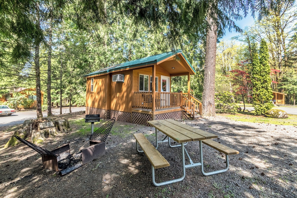 Deluxe Cabin (No Pets, Linens Included) photo 2