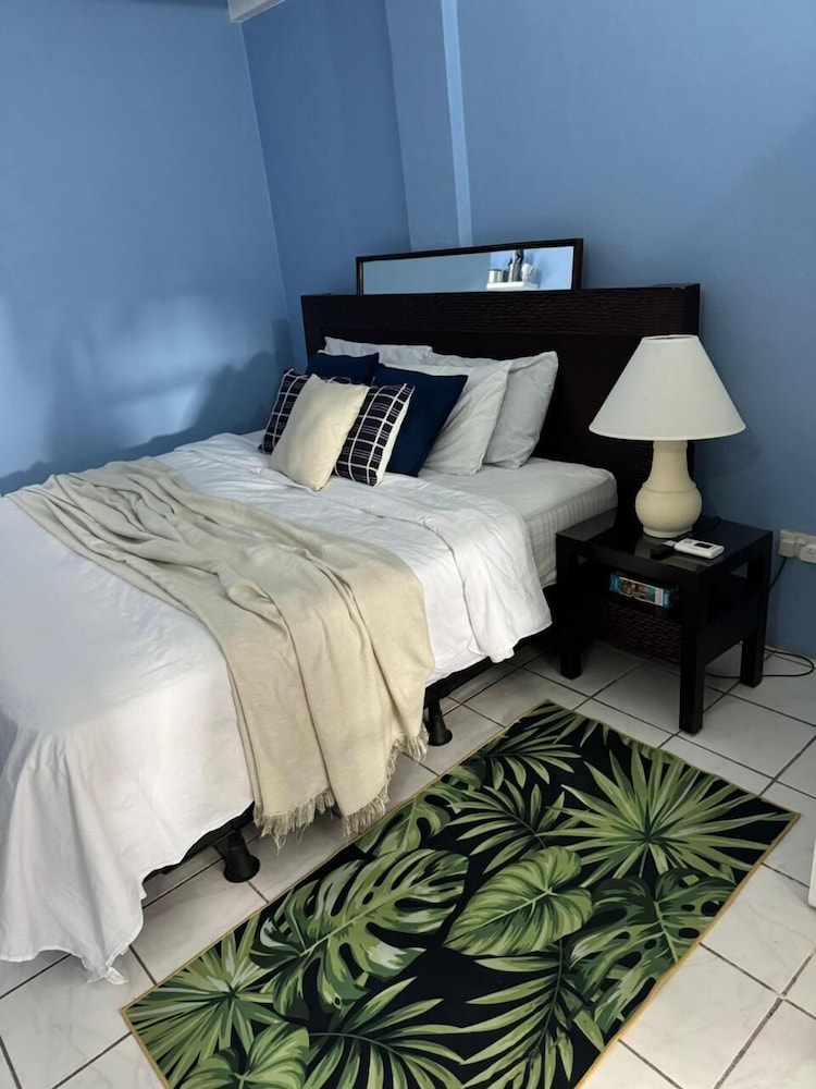 Standard Studio, 1 King Bed, Non Smoking, Courtyard View