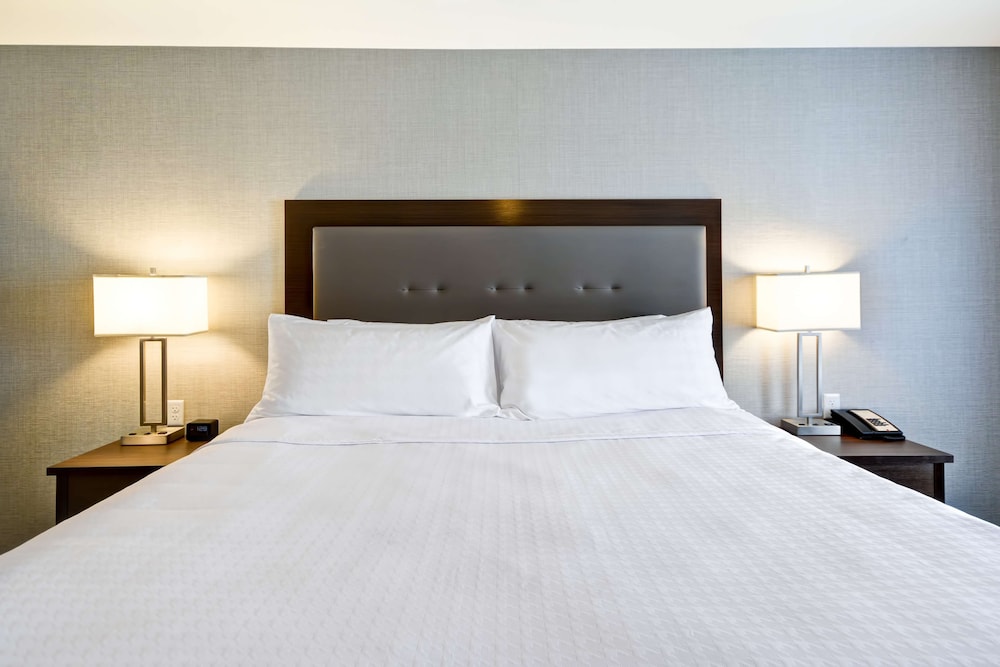 Studio, 1 King Bed, Non Smoking (Roll-In Shower)