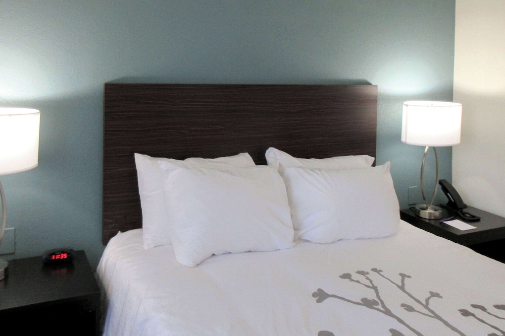 Room, 1 King Bed, Accessible, Non Smoking - Photo 1