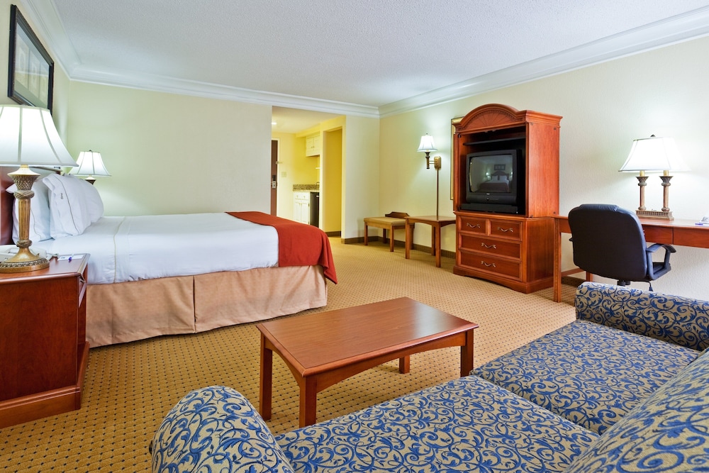 Suite, 1 King Bed with Sofa bed - Photo 1
