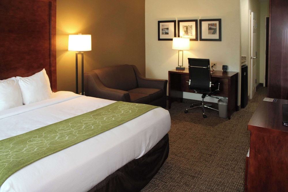 Suite, 1 King Bed With Sofa Bed, Accessible, Non Smoking