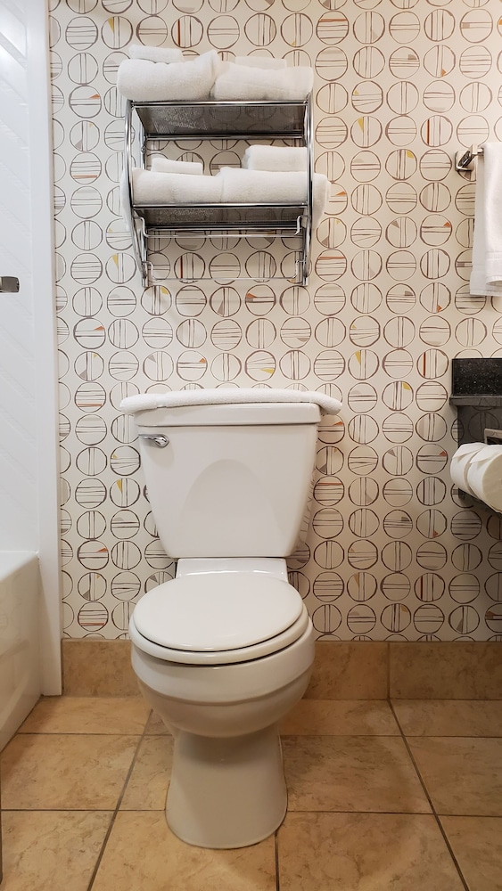 Suite, 1 Bedroom - Photo 6