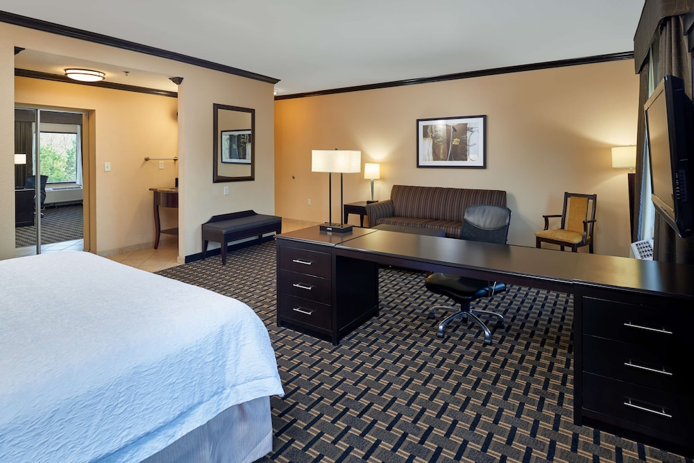 Suite, 1 King Bed, Accessible, Non Smoking - Photo 4