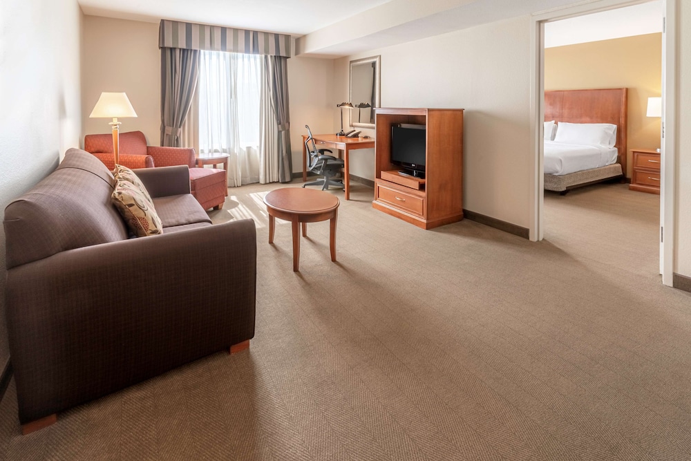 Suite, 1 King Bed photo 2