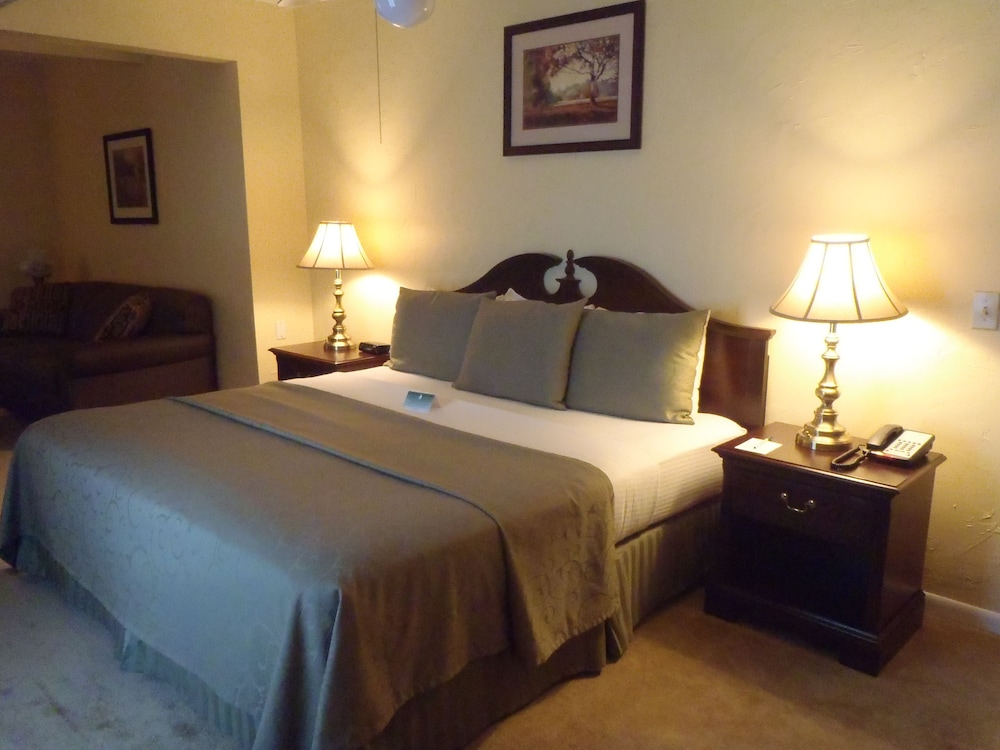 Standard Suite, 1 King Bed With Sofa Bed, Refrigerator