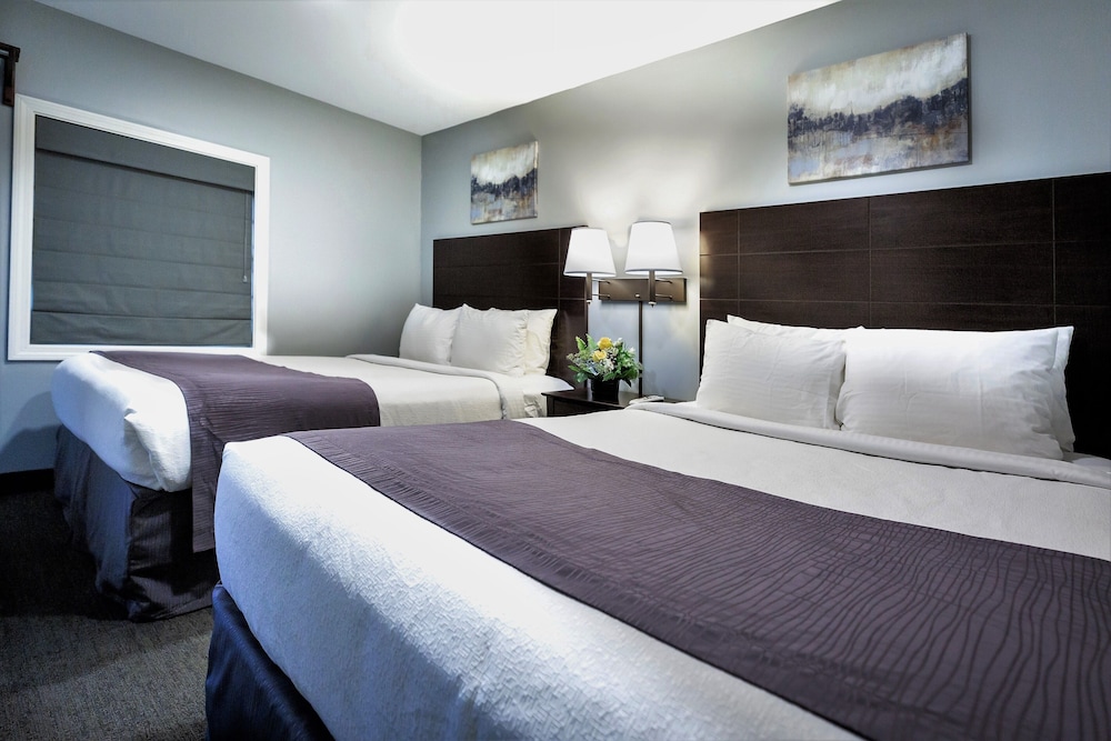 Executive Suite, Multiple Beds (EXECUTIVE SUITE ROOM) photo 2