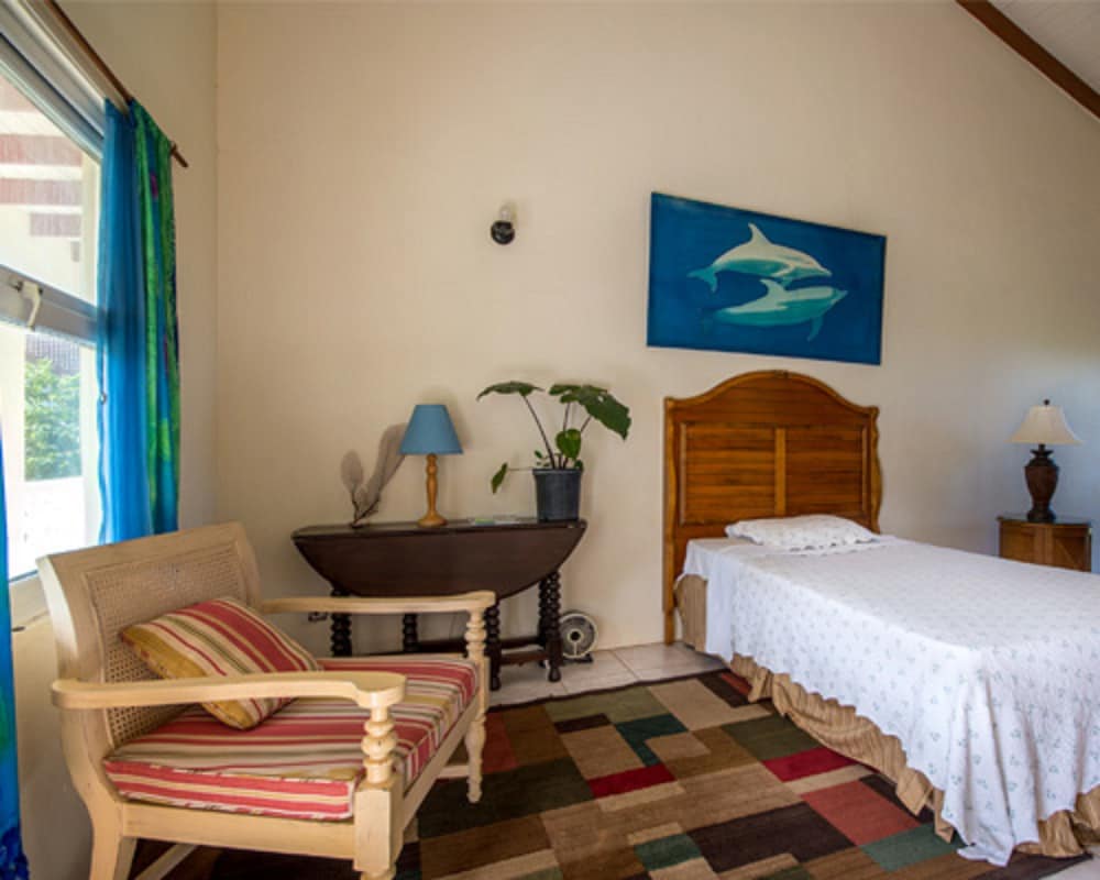 Basic Room, Ocean View photo 3