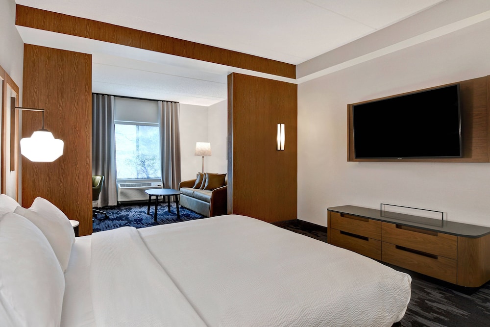 Suite, 1 King Bed with Sofa bed
