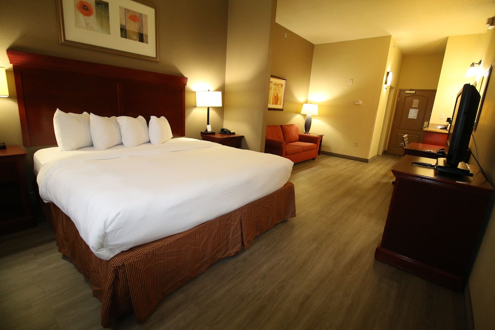 Suite, 1 King Bed With Sofa Bed, Accessible, Non Smoking photo 3