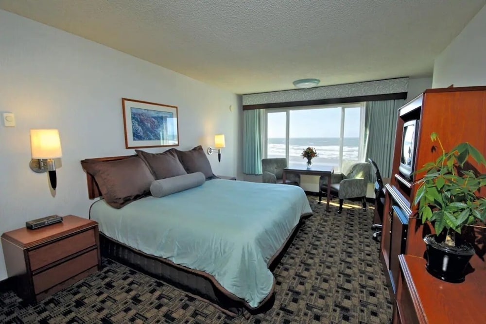 Deluxe King Room, No Pets photo 1