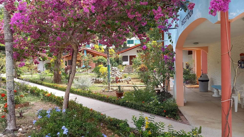 Twin Room, Garden View photo 1