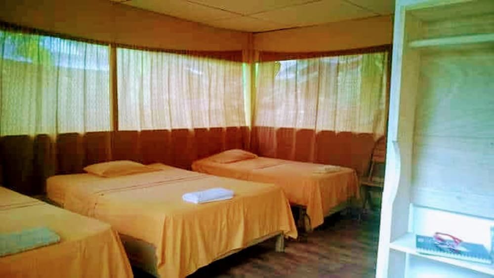 Twin Room photo 2