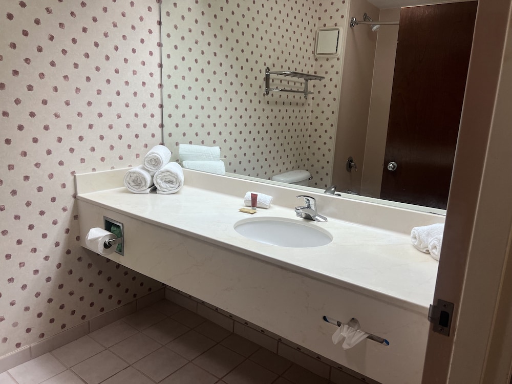Orlando Palms Hotel, 사진 3