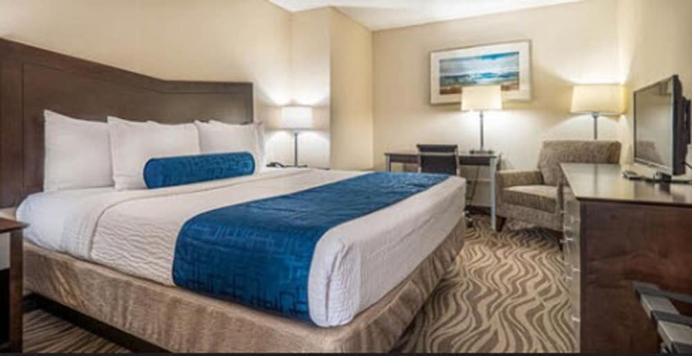 Standard Suite, 1 King Bed (King Suite) photo 3