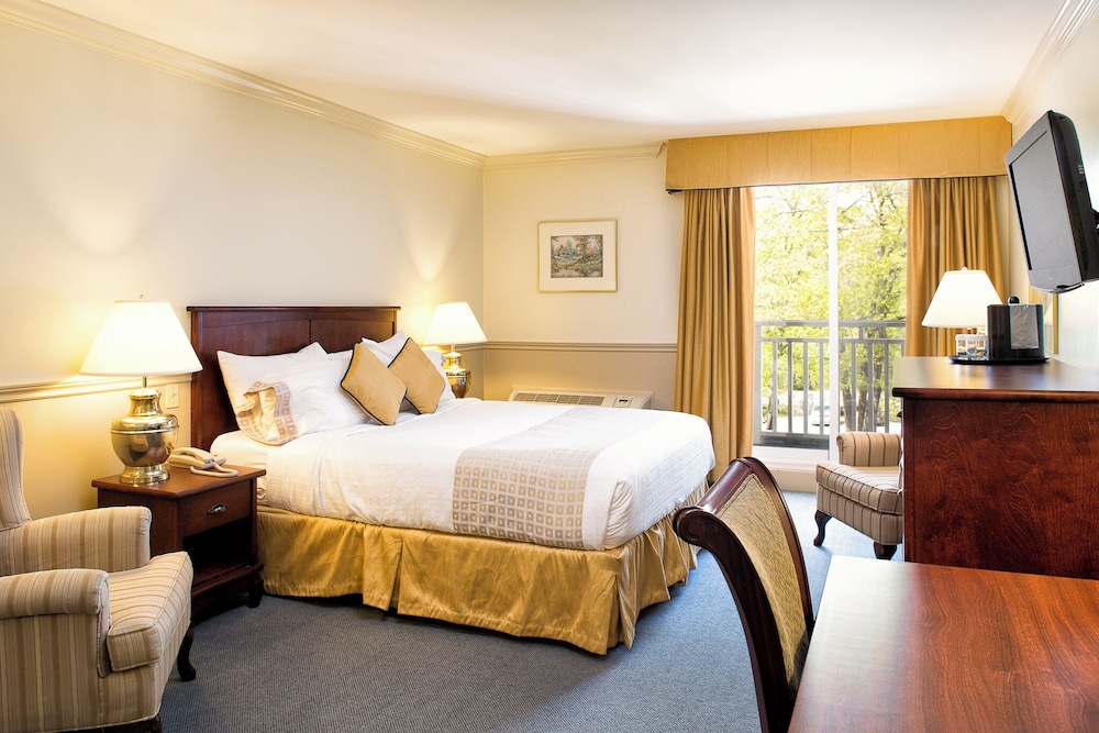 Standard Room, 1 Queen Bed, Pets Not Allowed photo 1