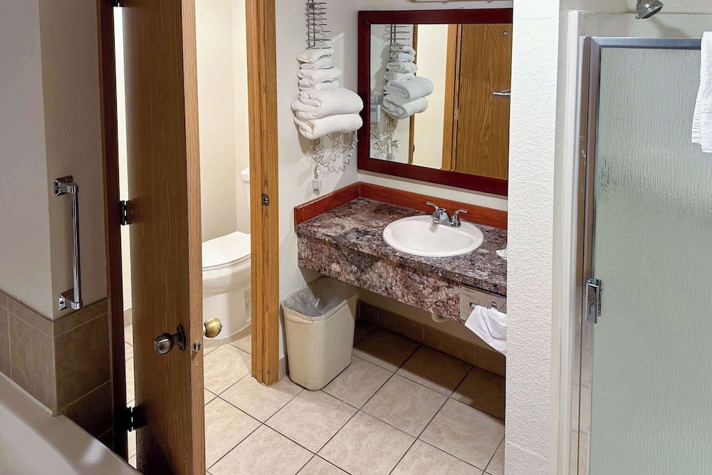 Suite, 1 King Bed, Non Smoking - Photo 4