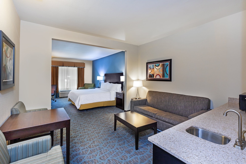 Suite, 1 King Bed with Sofa bed, Accessible (Communications)