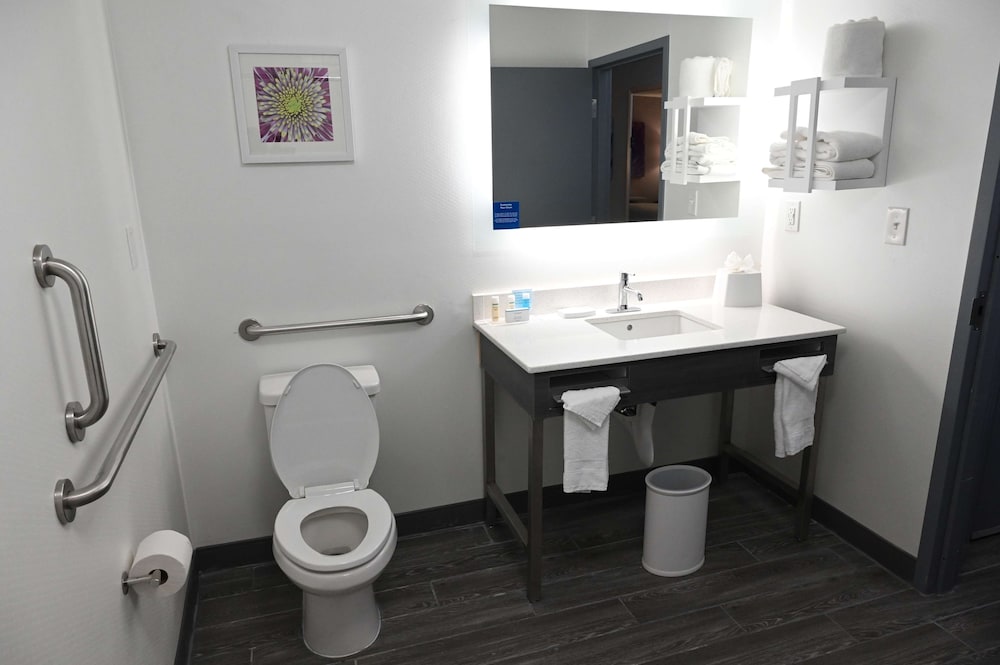 Room, 1 King Bed, Accessible, Bathtub - Photo 4