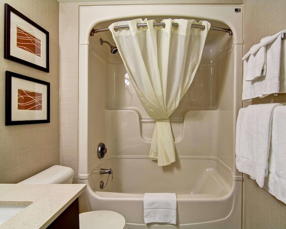 Standard Room, 1 King Bed, Non Smoking (No Pets Allowed) - Photo 11