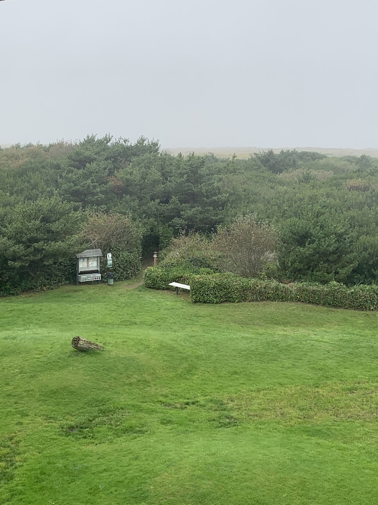 Signature Room, 1 King Bed with Sofa bed, Kitchen, Pool View (1 Bedroom Unit- Room 211-Pet Friendly) - Photo 11