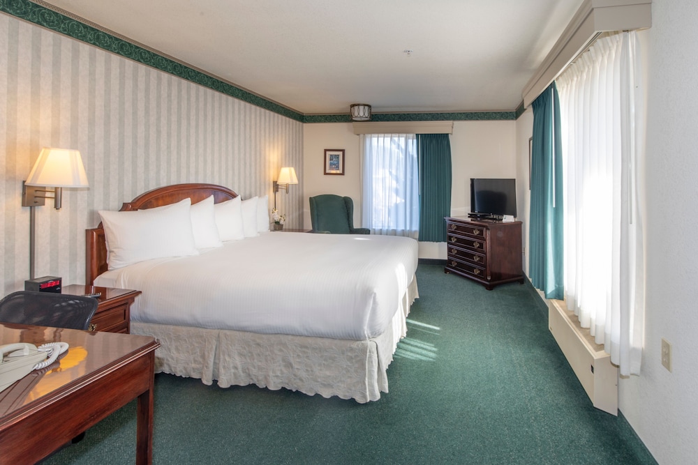 Comfort Suite, 1 King Bed (No Pets)