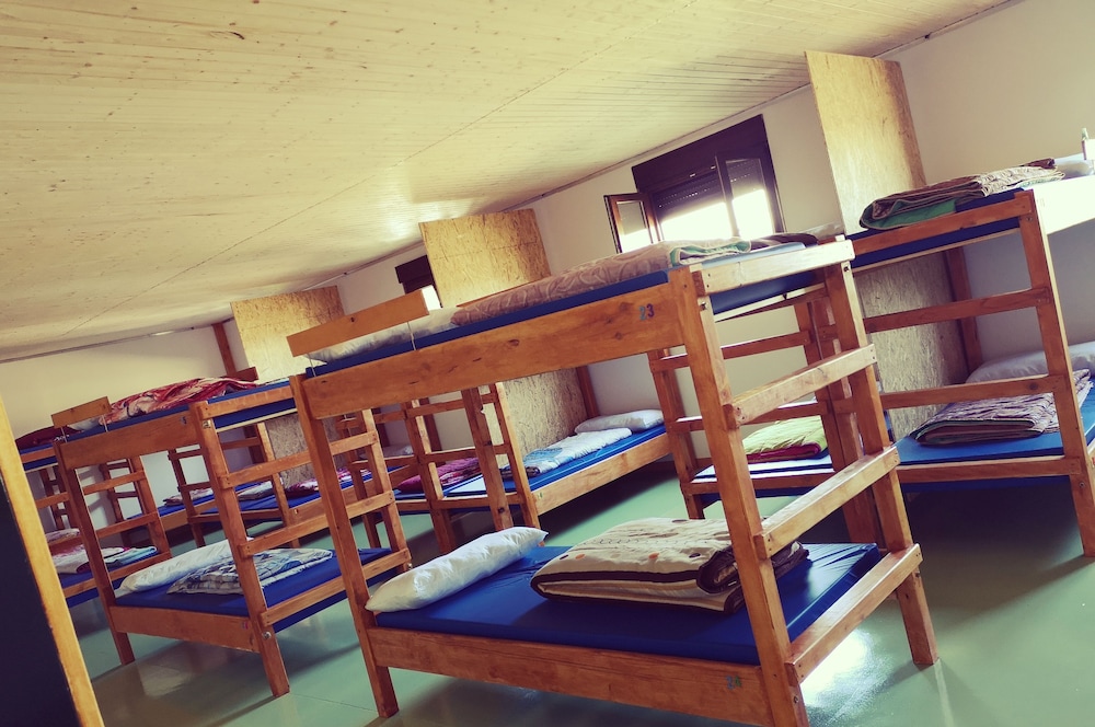 Shared Dormitory, Mixed Dorm (1 Bed in 12 Bed Dorm)