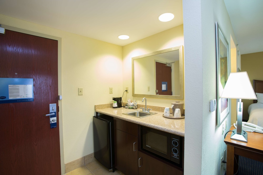 Room, 1 King Bed, Accessible - Photo 4