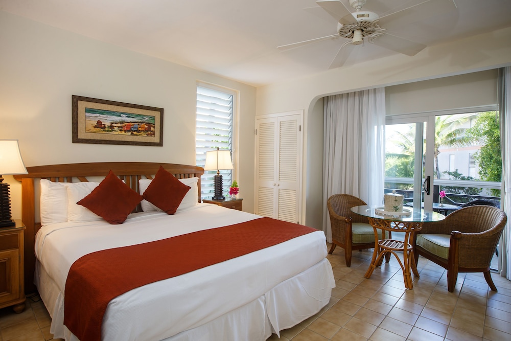 Studio Suite, 1 King Bed (Upper floor only) photo 3