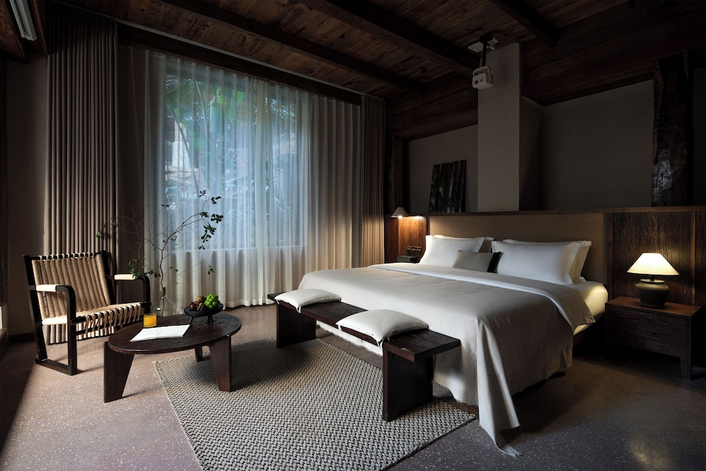 Comfort Single Room, Garden View