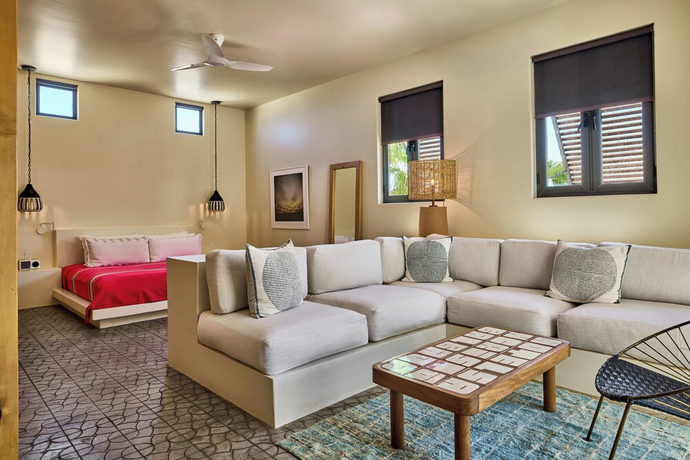 Studio, 1 King Bed, Mountain View