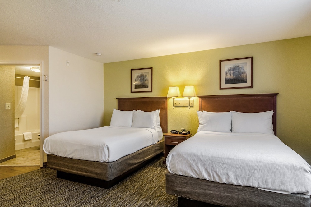 Studio Suite, 2 Double Beds, Kitchen - Photo 1