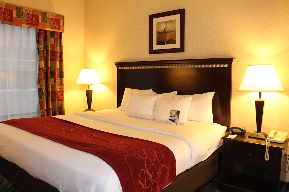 Suite, 1 King Bed - Photo 1