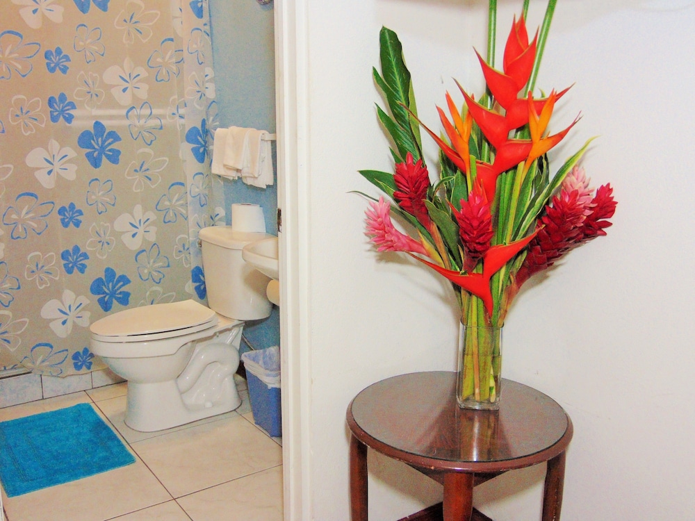 Deluxe Room - Photo 6