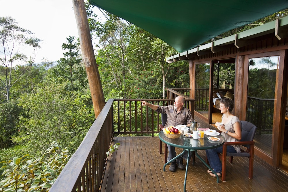 Standard Tree House photo 3