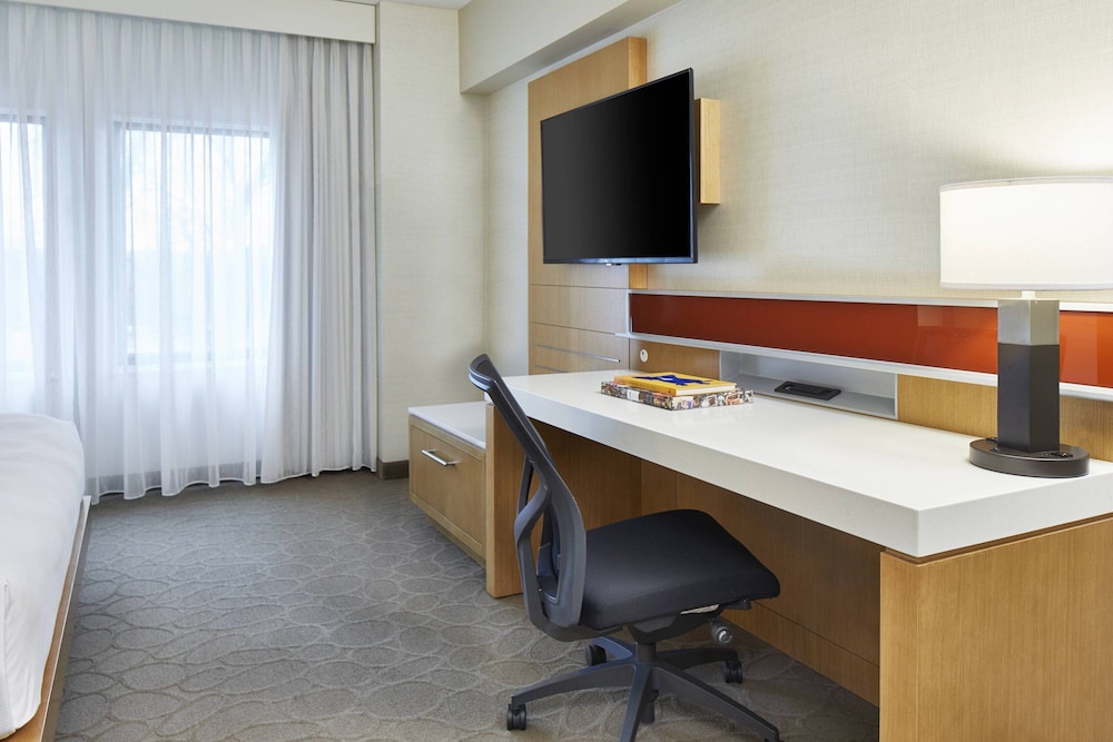 Suite, 1 Bedroom - Photo 7