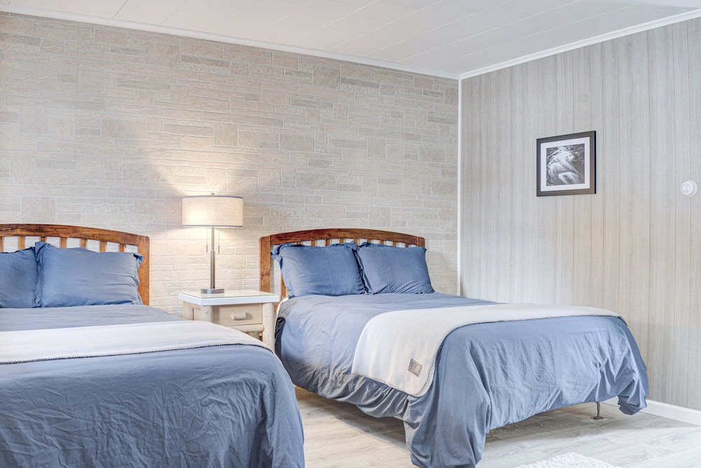 Family Suite- Pet Friendly photo 1
