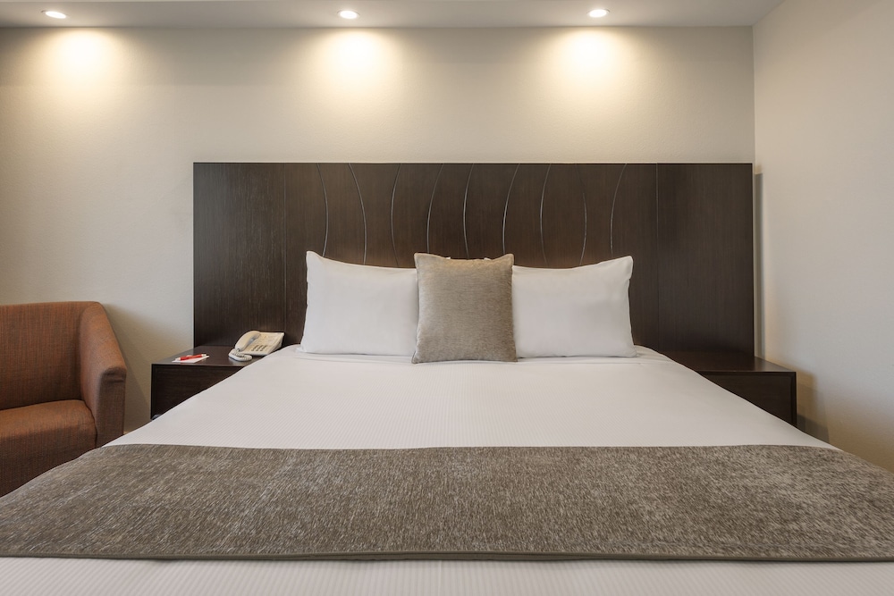 Premium Room - Photo 2