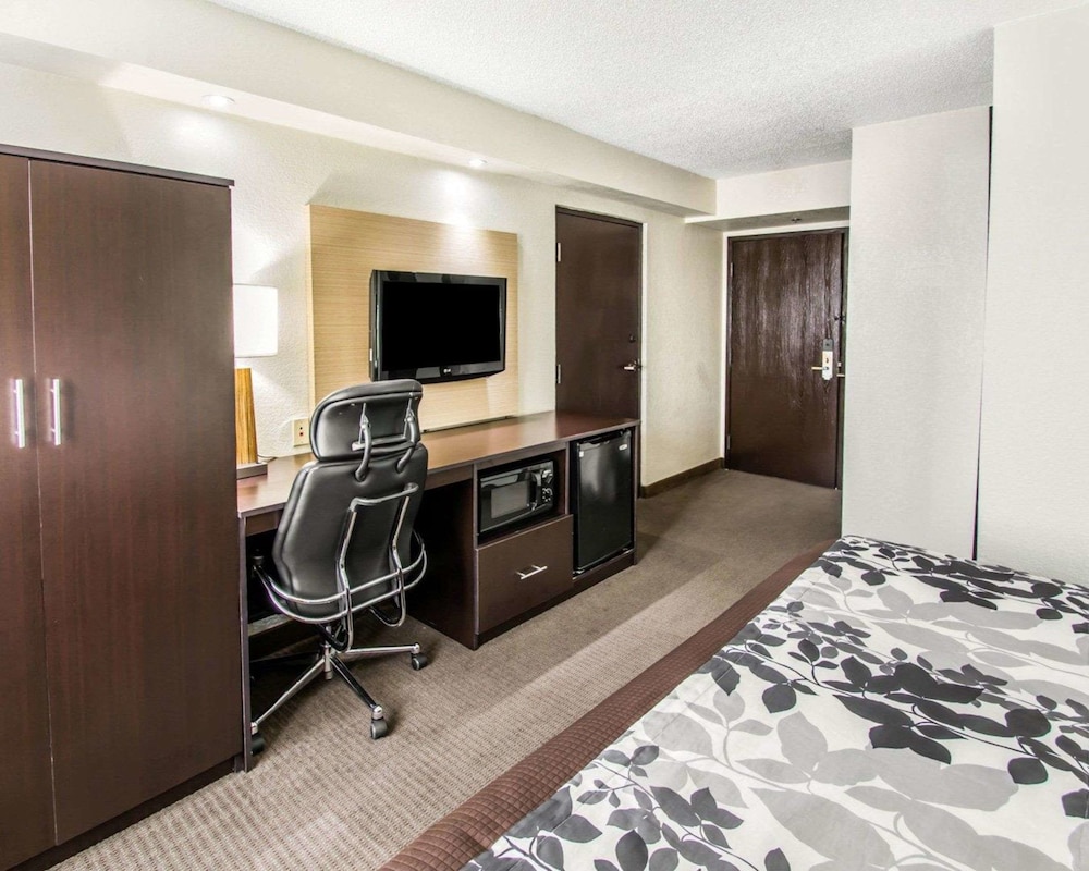 Standard Room, 1 King Bed, Non Smoking - Photo 10