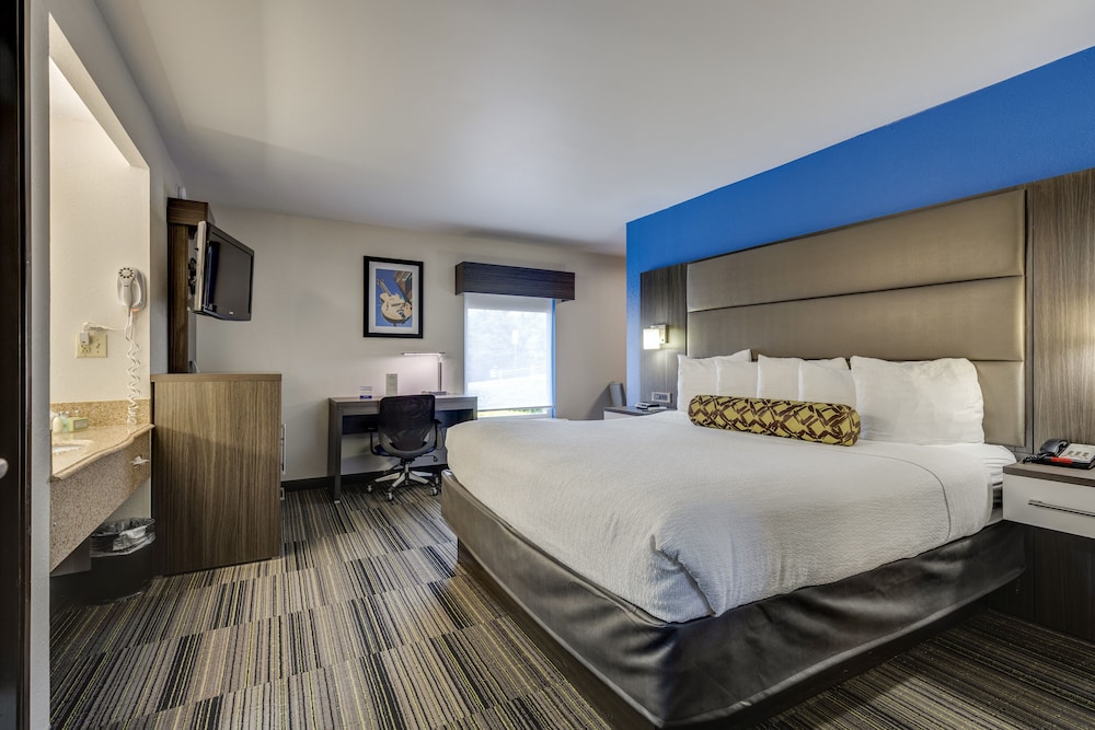 Deluxe Room, 1 King Bed - Photo 10