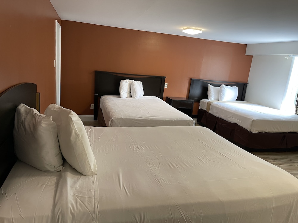 Room, Multiple Beds, Non Smoking photo 2