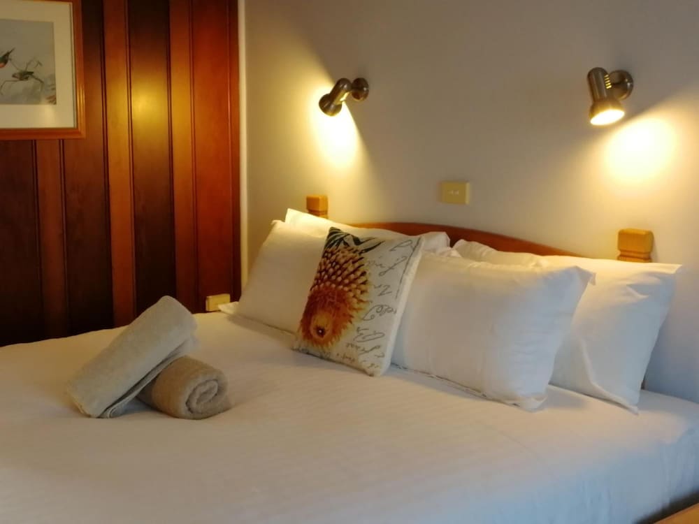 Premium Double Room, 1 King Bed photo 3