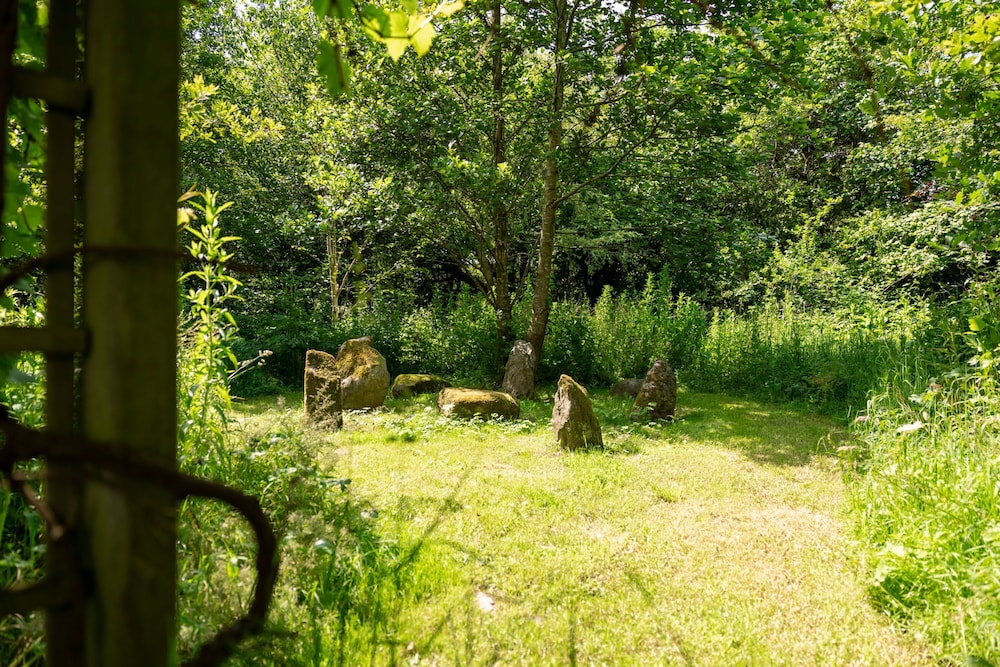 Hedgerow at Gorslwyd - Sound Retreat, Zdjęcie 6