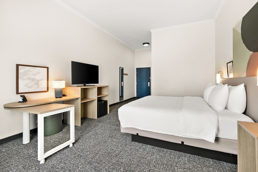 Room, 1 King Bed photo 3