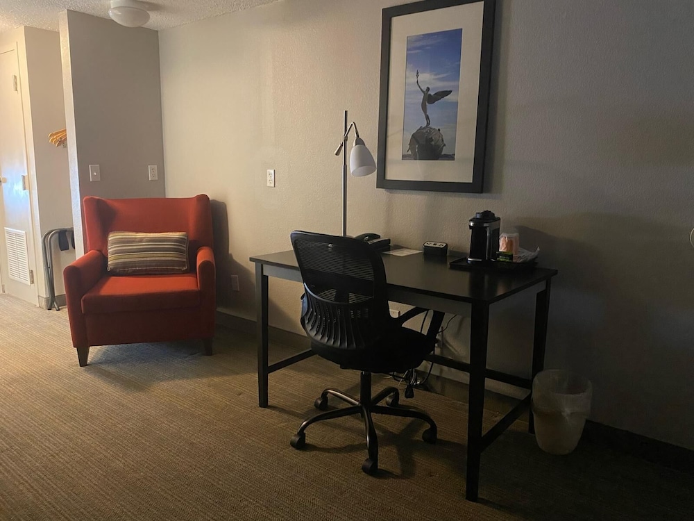 Studio Suite, 1 King Bed, Accessible, Non Smoking