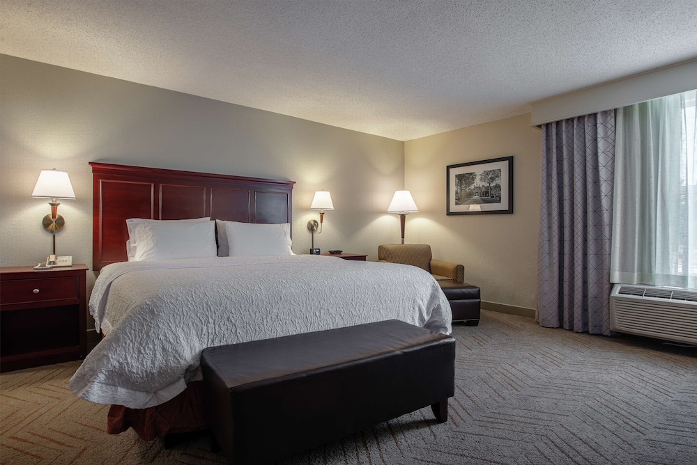 Signature Suite, 1 King Bed with Sofa bed, Accessible - Photo 1