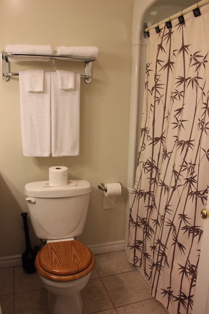 Suite, 1 King Bed (Main Floor) photo 2
