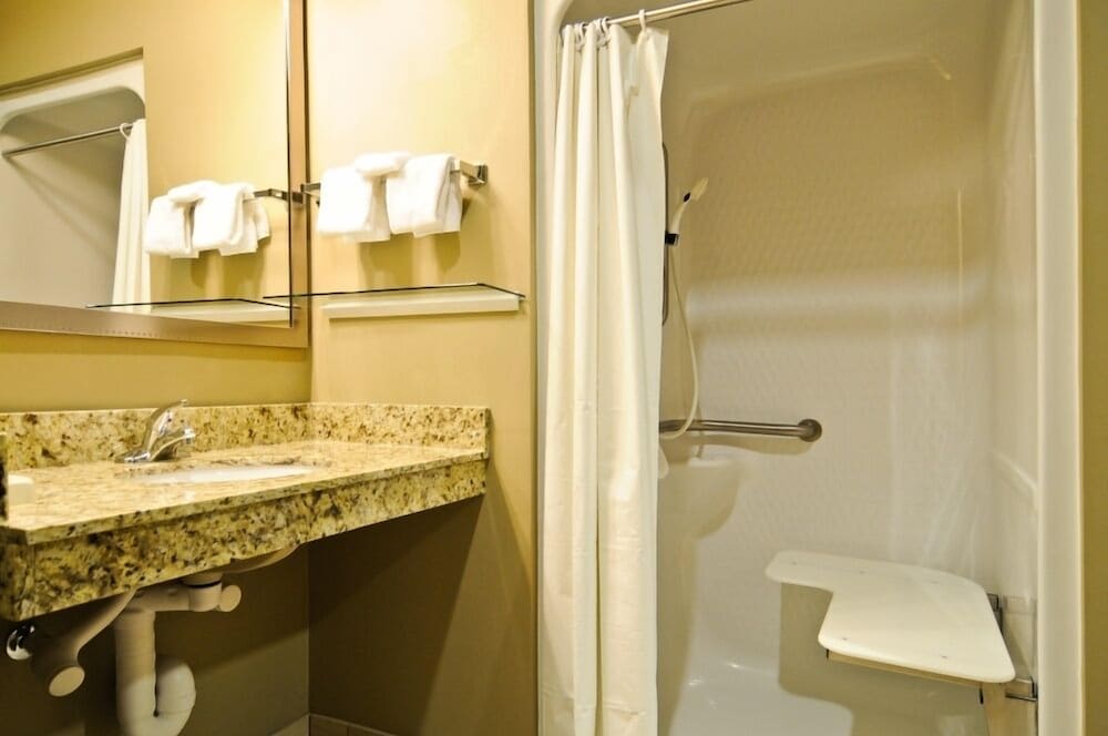 Standard Room, 1 King Bed, Non Smoking, Refrigerator & Microwave photo 3